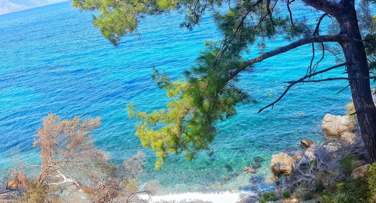 feeling-good-sea